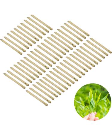 Ear Studs Stick Traditional Ears Stick 50pcs Tea Stud Earrings Natural Maintenance Portable for Inflammation Prevention - Buy Online on GoSupps.com