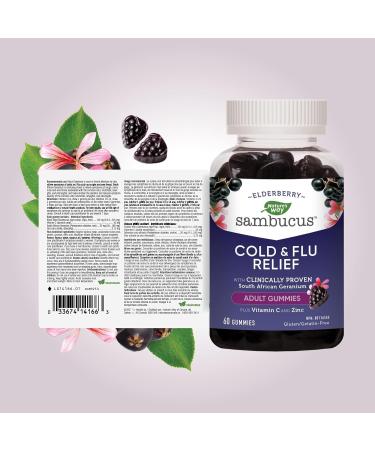 Nature's Way Sambucus Cold and Flu Relief Original Elderberry Gummies Used in Herbal Medicine to Help Relieve Symptoms (Cough Runny Nose and Sore Throat) in Adults 60 Gummies 60 count (Pack of 1) Medicine - Buy Online on GoSupps.com