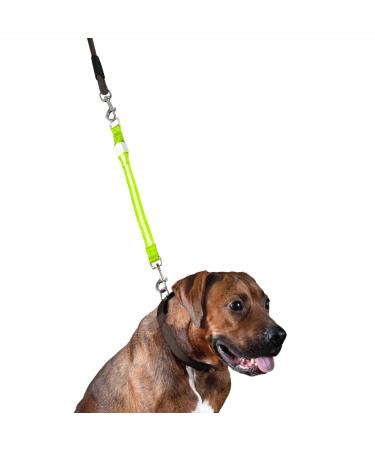Furhaven Pet - Hands-Free Bungee Dog Leash, LED Collar and Leash Extender, Vehicle Safety Seat Belt Clip, Vest Harness, and More for Active Dogs and Cats - Multiple Colors, Styles, and Sizes One Size LED Leash Extender LED Green