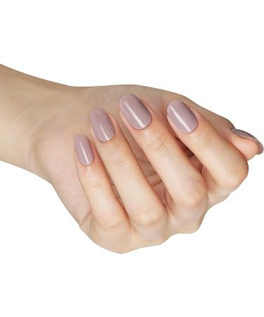 Bluesky Gel Nail Polish Set Fall Essentials Sage Scarf 80570 Field Fox 80594 Marsala KA4036 3 x 5 ml Green Dark Pink (Requires Curing Under UV or LED Lamp) Fall Essentials 5 ml (Pack of 3) - Buy Online on GoSupps.com