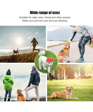 Psop Dog Baseball Cap - Stylish Sun Hat for Dogs with Ear Holes | Red M | Perfect for Pets - Buy Online on GoSupps.com