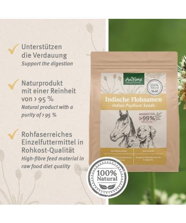 AniForte Psyllium for Dogs Cats & Horses 1kg | High Fiber Natural Supplement for Gut Health & Weight Management - Buy Online on GoSupps.com