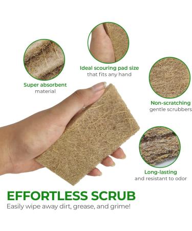 AIRNEX Biodegradable Coconut Fiber Scrubbing Pads for Dishes - Non Scratch Scouring Pads for Pots and Pans (24 Pack) - Buy Online on GoSupps.com