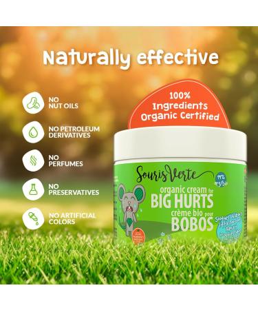 Souris Verte Organic Boo Boo Healing & Diaper Rash Cream Made in Canada Cloth Diaper Safe (2-pack) Pack of 2 - Buy Online on GoSupps.com