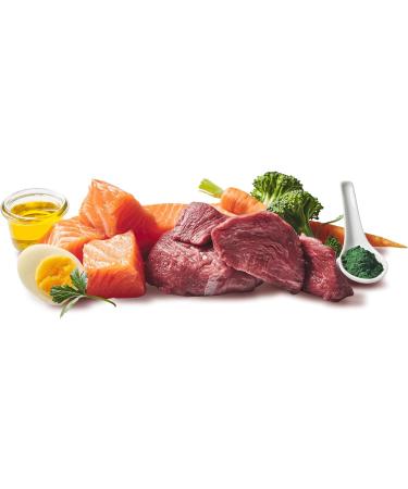 Doggy Dog - Pat - 10 x 150 g - Beef and Salmon - Buy Online on GoSupps.com