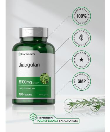 Horb ach Jiaogulan Capsules | 8100 mg | 120 Count | Gynostemma Pentaphyllum Herbal Extract | Stamina and Endurance Supplement | Non-GMO Gluten Free - Buy Online on GoSupps.com