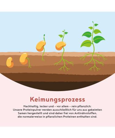 Vegan Strawberry Protein Powder - 600g | Plant-Based Rice Pea Chia & Seed Blend - International Shipping - Buy Online on GoSupps.com