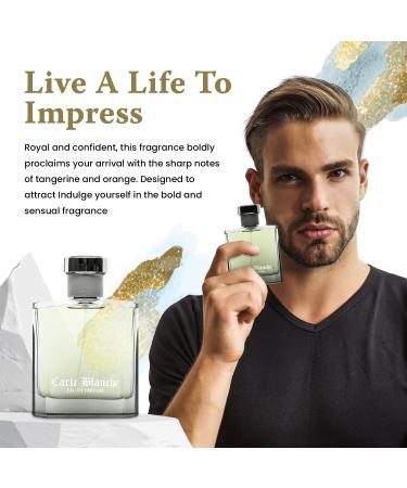 Mens Cologne - INSPIRED by I A ING Men Cologne - Tangerine Orange Cranberry Sandalwood Cedarwood Vetiver White Moss Labdanum - (3.4 fl oz / 100 ml) Carte Gray - Buy Online on GoSupps.com