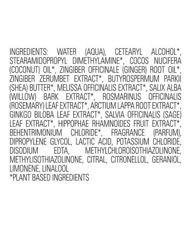 Purist Ginger Shampoo - Nourishing Natural Formula for All Hair Types | Shop Internationally - Buy Online on GoSupps.com