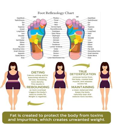 2023 Detoxing Herbs Cleansing Foot Soak Beads - Weight Loss & Foot Bath Relief - Buy Online on GoSupps.com