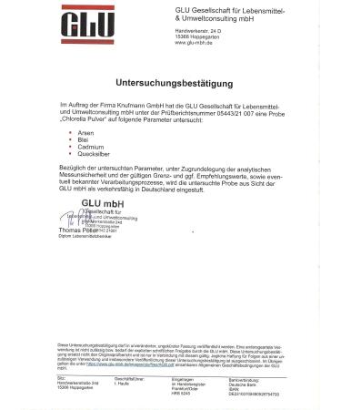 Chlorella Powder from Germany - Pure & Raw Vegan Algae Rich in Vitamin B12 & Iron - 120g | Pureeraw - Buy Online on GoSupps.com