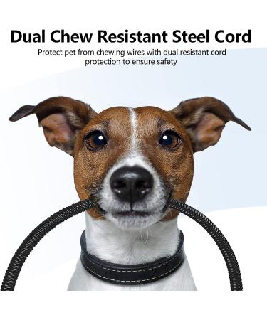 2021 Heated Pet Pad - Adjustable Temperature, Waterproof, Timer, Anti-Bite - Dog & Cat Heating Mat for All Sizes - Buy Online on GoSupps.com