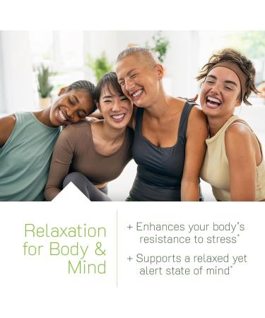 Irwin Naturals Stress-Defy Sleep PM 50 Liquid Soft-Gels Relaxation & Nighttime Restoration - Buy Online on GoSupps.com