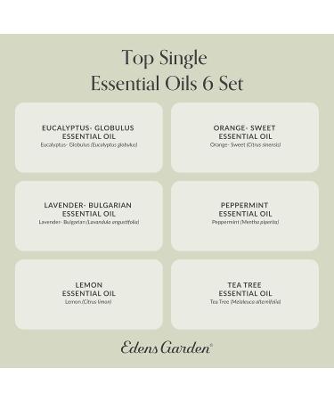 Edens Garden Essential Oil Set - 100% Pure Aromatherapy Intro Kit (6 x 10ml) for Diffusers & Therapeutic Use - Best International Shipping - Buy Online on GoSupps.com