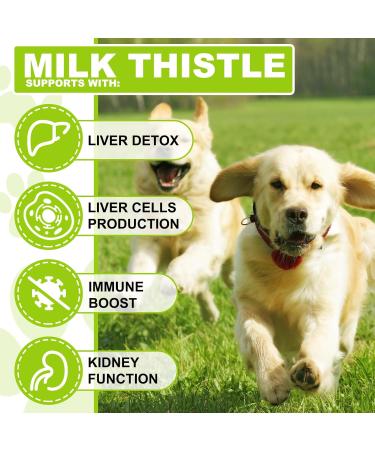 Milk Thistle for Dogs 60ml Liver Support for Dogs Supports Kidney Function for Pets Detox Hepatic Support Health Supplement with Wild Alaskan Salmon Oil & Curcumin Omega 3 EPA & DHA Bacon Flavor - Buy Online on GoSupps.com