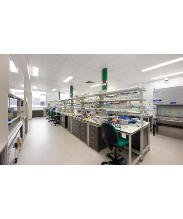 Akersunder PQQ 10g - 98% Pure PQQ for Enhanced Energy & Cognitive Support - International Shipping - Buy Online on GoSupps.com