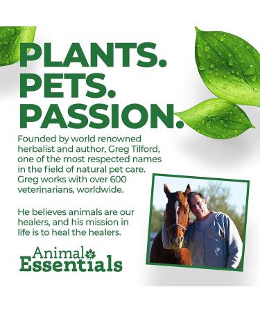 Animal Essentials Plant Enzyme & Probiotics for Dogs & Cats - 10.6 oz (300g) | Digestive Health - Buy Online on GoSupps.com