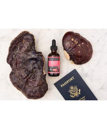 Urban Moonshine Immune Tonic with Red Reishi & Astragalus - 2 FL OZ - Supports Healthy Defenses - Buy Online on GoSupps.com