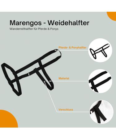 Marengos Weide Halver | Halter for Horses & Ponies | Soft Belt Handlebar for Pasture | Adjustable Sizes | Black Thoroughbred - Buy Online on GoSupps.com