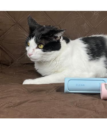 Twist N Clean 2-in-1 Lint Remover & Brush - Pet Hair Remover for Fuzz & More - International Shipping Available - Buy Now - Buy Online on GoSupps.com
