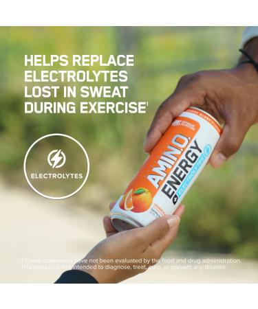 Optimum Nutrition Amino Energy Drink + Electrolytes - Sugar Free, BCAA, Keto Friendly, Sparkling Juicy Cherry Flavor - Pack of 12, 12 Fl Oz Each - Buy Online on GoSupps.com