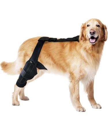 Dog Knee Support Brace Professional Knee Support Brace Rear Leg Stabilizer for Small Dogs Neoprene Hip Brace with Adjustable Traction Belt for Cruciate Ligament Injury Joint M right - Buy Online on GoSupps.com