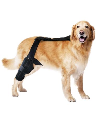 Dog ACL Knee Brace Brace Behind Leg - Brace Behind Leg Neoprene Hip Brace Adjustable Traction Belt Stabilizer for Torn ACL Leg M right