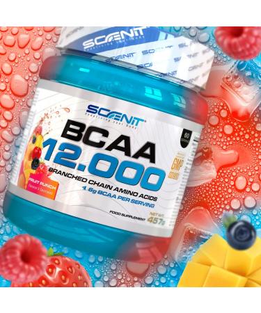 BCAA Powder - BCAA 12-457g - BCAA - Amino Acids - BCAAs Powder - Amino Acid - BCAA 2.1.1 - BCAA Amino - Amino Acid - BCA - Leucine Isoleucine Valine (Fruit Punch) - Buy Online on GoSupps.com