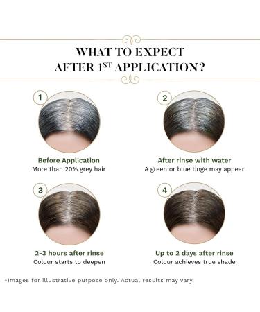 Sesa 3 Step Natural Hair Colour Kit - 100% Organic & Ayurvedic Solution for First Greys | International Shipping Available - Buy Online on GoSupps.com
