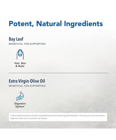 North American Herb & Spice Wild Oil of Bay Leaf 1 fl oz - Organic Non-GMO Skin & Hair Support - 286 Servings - Buy Internationally - Buy Online on GoSupps.com