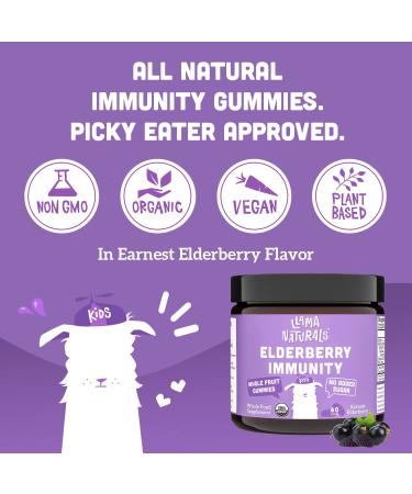 Organic Whole Fruit Sambucus Elderberry Gummies for Kids - Immune Support with Zinc, Vitamin C, and Beta Glucan - Vegan & Sugar-Free - 60 Gummies - Buy Online on GoSupps.com