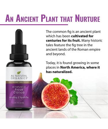 Fig Seed Oil | 100% Organic Ficus Carica | Cold Pressed Carrier Oil for Face Hair & Body | Essential Aromatherapy Moisturizer | 30ml - Buy Online on GoSupps.com