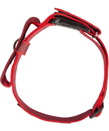 Julius K9 Color & Gray Series Adjustable Neck Band with Handle - 50mm (49-70cm) - Safety Closure - Red-Gray for Dogs - Buy Online on GoSupps.com