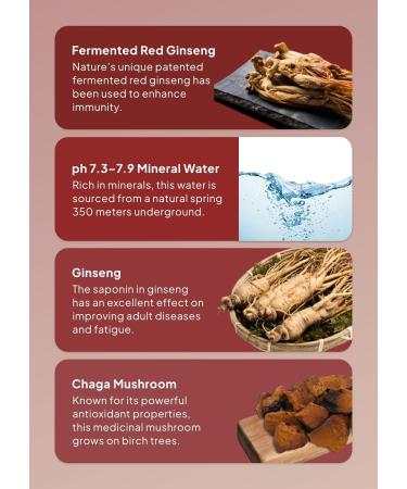 Korean Food Red Ginseng Drink with Siberian Chaga 9-Steamed 9-Dried Ginseng Vegan-Friendly 15 Cans 180ml (6.08 fl oz) Naturecell - Buy Online on GoSupps.com