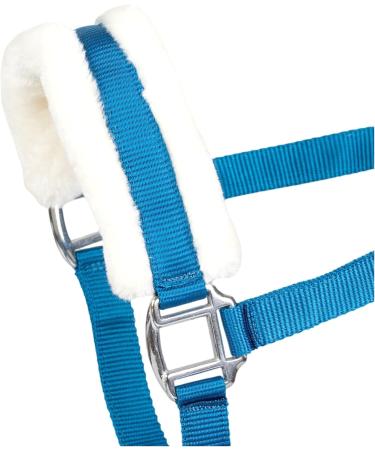 Buy RL24 Halter with Plush Padding - BASICLINE in 6 Colors for Shetland Pony Thoroughbred & Warmblood | Turquoise Thoroughbred - International Shipping - Buy Online on GoSupps.com