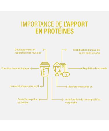 Beverly DELICATE ZERO | 1kg | 85% Hydrolyzed Whey Protein | With Digezyme and Tolerase | Muscle Mass and Strength | Blender Free (Pineapple) - Buy Online on GoSupps.com