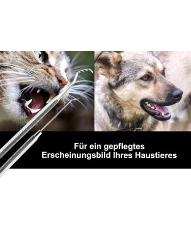 Interwell Space Tartar Remover for Dogs | Stainless Steel Dental Tool & Kausnack Alternative | Effective Tartar Cleaner for Pets - Buy Online on GoSupps.com