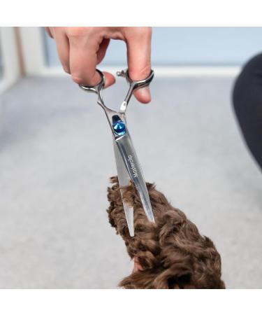 Masterclip 7.5 Essentials Finishing Scissors - Professional Grade Stainless Steel Dog Grooming Scissors for Precise Cuts (Right Handed) - Buy Online on GoSupps.com