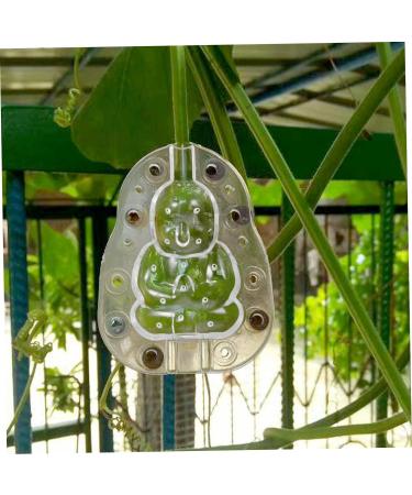 Toddmomy Vegetable Growing Mold 4pcs Fruit Mold Plastic 3D Accessories Cucumber Pumpkin Mold - Buy Online on GoSupps.com