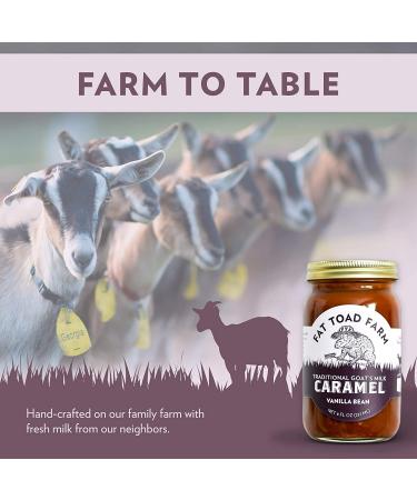 Fat Toad Farm Vanilla Bean Goats Milk Caramel Sauce - 8fl oz Jar (Pack of 1) - Buy Online on GoSupps.com