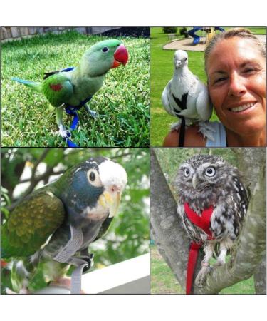 Aviator Bird Harness & Leash - Made in America | Best for Parrots & Birds | International Shipping - Buy Online on GoSupps.com