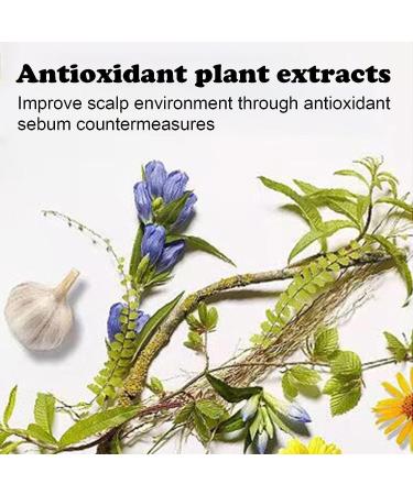 behound DrShangguan AntiHair Loss Shampoo Consciousney Antihair Loss and Hair Growth Shampoo Anti Hair Loss Shampoo for Women Men Ginger Shampo Fast Hair Growth for Thinning Hair 2 Pcs - Buy Online on GoSupps.com