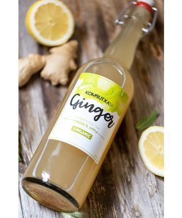 ECOLOGICAL DRINK KOMBUTXA TE KOMBUCHA - 6 bottles 750ml Organic fermented tea ecological energy fat burning without added sug - Buy Online on GoSupps.com