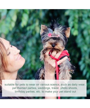 GLOGLOW Dog Clips | Safe Hairpins for Dogs | Fashionable Pet Party Supplies - Buy Online on GoSupps.com