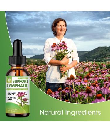 Lymphatic Drainage Support Drops - Natural Herbal Blend for Immune Health - Vegan & Non-GMO - 2 Fl.Oz - Buy Online on GoSupps.com