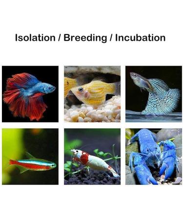 J-star Aquarium Breeder Box - Baby Fish Separator & Incubator Divider - Buy Online on GoSupps.com