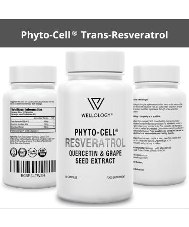 High Purity 750mg Trans Resveratrol with Quercetin & Grape Seed Extract - 60 Vegan Capsules | Wellology - Buy Online on GoSupps.com