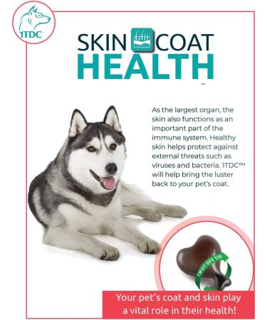 1TDC Dual Action Twist Off Soft Gels for Dogs & Cats - Supports Oral Health, Hip & Joint, Muscle Recovery, Skin & Coat - 120 Gels - Buy Online on GoSupps.com