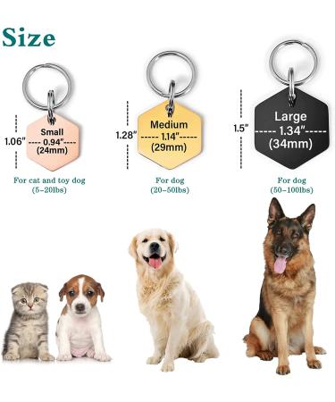 Sturdy Stainless Steel Engraved Dog Tags for Pets - Personalized Pet ID Name Tag for Cats & Dogs - Double Sided Deep Engraving - Small & Cute Cat Tag - Buy Online on GoSupps.com