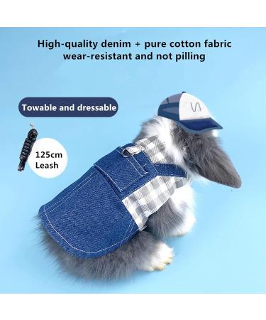 Adjustable Soft Rabbit Dishes & Leash Set - Perfect for Rabbits Cats and Guinea Pigs | Size M Blue - Buy Online on GoSupps.com